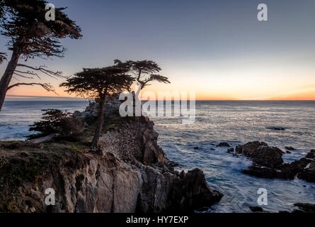 Lone Cypress tree view au coucher du soleil de la célèbre 17 Mile Drive - Monterey, Californie, USA Banque D'Images