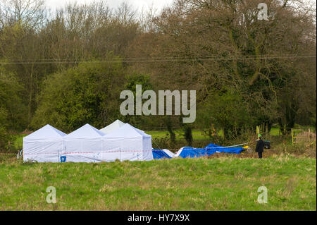 Eastham, Wirral, UK. Le 02 avril 2017. Des équipes médico-légales invesigate la police et la disparition possible meurtre de Steven Preston, vu pour la dernière fois le 18 septembre 1992, à la suite des récentes nouvelles informations. Des tentes ont été érigées à la suite d'une recherche approfondie de la région. La police se sont concentrées sur une zone de champs à proximité de la M53 et Starbucks dans Eastham, Wirral. Crédit : Paul Warburton/Alamy Live News Banque D'Images