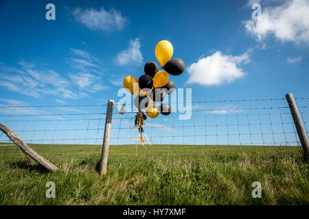 Brighton, East Sussex, UK. 09Th avr, 2017. Ballons abandonnés sur les South Downs près de Brighton, East Sussex. Crédit : Andrew Hasson/Alamy Live News Banque D'Images