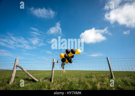 Brighton, East Sussex, UK. 09Th avr, 2017. Ballons abandonnés sur les South Downs près de Brighton, East Sussex. Crédit : Andrew Hasson/Alamy Live News Banque D'Images