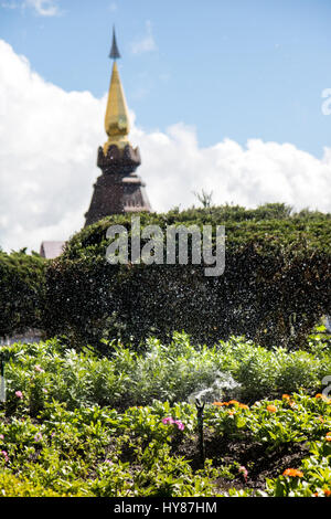 L'eau pulvérisée sur le jardin à l'hôtel Chedi près du sommet du mont Doi Inthanon, la province de Chiang Mai, Thaïlande. Banque D'Images