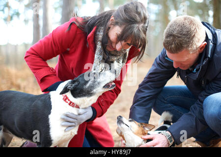 Un jeune couple à pied leurs chiens dans les bois Banque D'Images