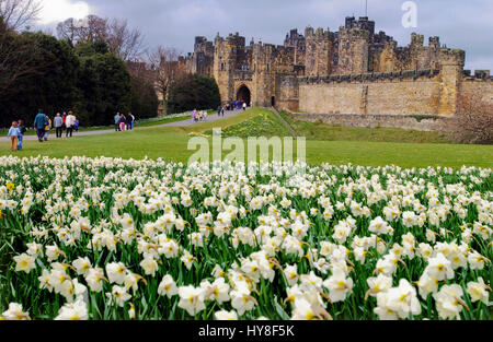 Château d'Alnwick accueil du duc de Northumberland. La famille de Percy. Scène de certaines des scènes de film de Harry Potter. Banque D'Images