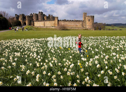 Château d'Alnwick accueil du duc de Northumberland. La famille de Percy. Scène de certaines des scènes de film de Harry Potter. Banque D'Images