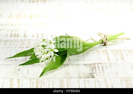 Bunch of fresh ramson sur fond de bois Banque D'Images