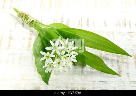 Bunch of fresh ramson sur fond de bois Banque D'Images