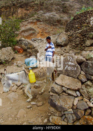 Un garçon et son âne, transporter l'eau d'une source dans la Cova de Paul cratère volcanique sur Santo Antao, République de Cabo Verde, l'Afrique. Banque D'Images