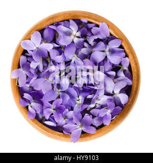 Fleurs sauvages dans bol en bois. Aussi le bois, doux, l'anglais, commun ou le jardin de violette. Viola odorata. Fleurs comestibles, utilisés comme décoration salade. Banque D'Images