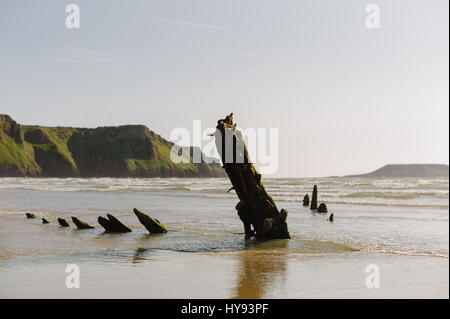 Épave de l'Helvetia qui a échoué en 1887 sur la plage de Rhosilli en été en regardant vers Worm's Head, Gower Peninsula, Pays de Galles, Cymru. Banque D'Images