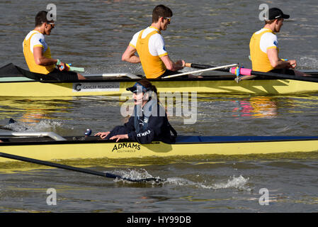 University Boat Race sur la Tamise à Londres, Barnes. Réserver Hommes impliquant Isis (Oxford) et Goldie (Cambridge) Banque D'Images