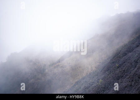 Vue sur les forêts de montagne couvrant de brouillard pour le fond Banque D'Images