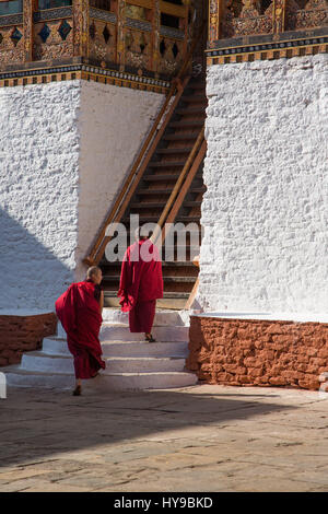 Deux moines de monter les escaliers raides jusqu'au temple bouddhiste dans le Punakha Dzong, Punakha, Bhoutan. Banque D'Images