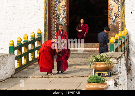 Un jeune novice moine bouddhiste étant aidé par un ancien moine de la paro Dzong, Paro, Bhoutan. Banque D'Images