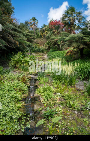 Jardin d'eau Trebah Gardens Sub-Tropical Attraction Touristique Cascade Ruisseau Joli plantes pittoresque coloré Cornwall Cornish Banque D'Images