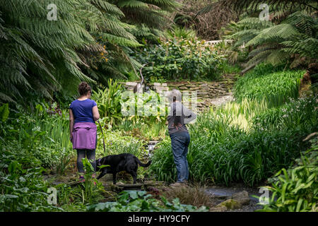 Jardin d'eau Trebah Gardens Sub-Tropical Attraction touristique de flux de personnes animaux Chiens Visiteurs Jolie plantes pittoresque coloré Cornish Cornwa Banque D'Images