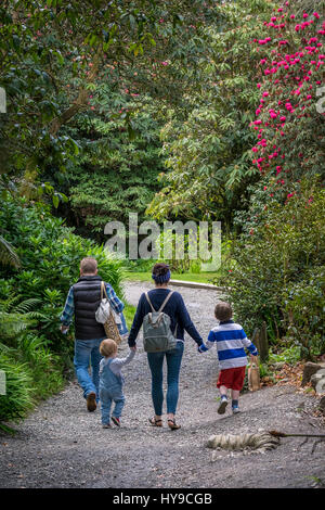 Trebah Garden Family Parents Enfants tout-petits touristes visiteurs vacanciers Sub-Tropical Attraction touristique pittoresque chemin joli plantes Activité Banque D'Images