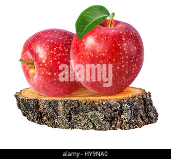 Pommes sur un сross article en bois de tronc de l'arbre isolé sur fond blanc Banque D'Images