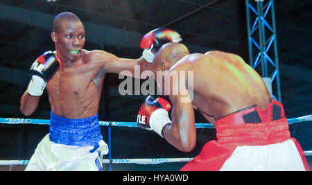 Windhoek. 1er avril 2017. Paulus 'Hitman' Moïse (R) canards en bas, pour éviter un poinçon de Chrispine Moliati du Malawi à Windhoek, capitale de la Namibie, le 1er avril 2017. Paulus 'Hitman' Moïse le samedi a conservé son Organisation mondiale de boxe (WBO) Titre léger l'Afrique avec une septième série knockout (KO) d'Moliati Chrispine boxer de remplacement du Malawi. La Namibian dispose maintenant d'un enregistrement de 42 combats 39 victoires et trois défaites. Credit : Nampa/Xinhua/Alamy Live News Banque D'Images