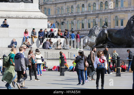 St James Park. Londres, Royaume-Uni. 3ème apr 2017. Les personnes bénéficiant de beau temps à Trafalgar Square. Credit : Dinendra Haria/Alamy Live News Banque D'Images