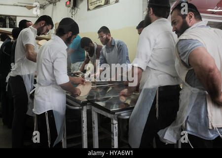 Kfar 'Habad, Israël. 3 avril, 2017. Les hommes préparent la matsa faite à la main dans la matzah Chabad boulangerie dans le village de Kfar 'Habad. Credit : Alon Nir/Alamy Live News Banque D'Images