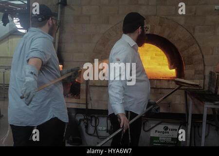 Kfar 'Habad, Israël. 3 avril, 2017. Les hommes préparent la matsa faite à la main dans la matzah Chabad boulangerie dans le village de Kfar 'Habad. Credit : Alon Nir/Alamy Live News Banque D'Images