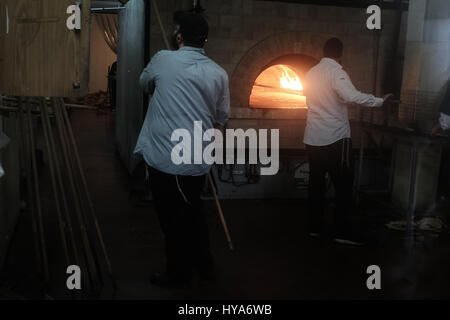 Kfar 'Habad, Israël. 3 avril, 2017. Les hommes préparent la matsa faite à la main dans la matzah Chabad boulangerie dans le village de Kfar 'Habad. Credit : Alon Nir/Alamy Live News Banque D'Images