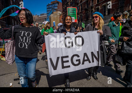 New York, USA. 09Th avr, 2017. Basée à New York aux défenseurs des droits des animaux, les écologistes, et les gens se préoccupent de leur santé ont participé à la 10e édition de la Veggie Pride Parade de New York, qui a eu lieu à Greenwich Village/Union Square. Pour les végétariens, la journée de festivités sont sûr de donner leur manière de vivre sans viande un boost. Crédit : Erik McGregor/Pacific Press/Alamy Live News Banque D'Images