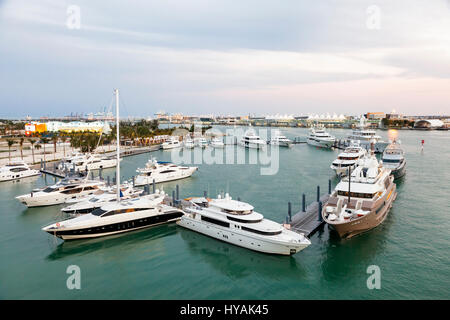 Disponibles à la marina de Miami. Florida, United States Banque D'Images