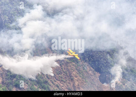 Images spectaculaires montrent une montagne engloutie par incendie, ainsi que les efforts d'air d'urgence de l'éteindre. La protection civile italienne fire fighter aircraft appelé Canadair ont consacré 30 heures luttent pour éteindre un incendie qui a couvert 2 000 hectares de terres, la destruction de chêne, charme et de hêtres. Conservateur de jardin (49) Alfredo Costanzo a pris le coups spectaculaires à Tremezzo, dans la province de Côme, où l'incendie qui, selon les experts, a été délibérément lancée, est l'une des pires de 20-ans. Banque D'Images