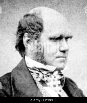 Ce portrait de Charles Darwin à l’âge de 51 ans capture le célèbre naturaliste et biologiste, réputé pour ses travaux sur la théorie de l’évolution. L'image reflète les années de maturité de Darwin au cours de la période où il développait ses idées scientifiques révolutionnaires. Banque D'Images