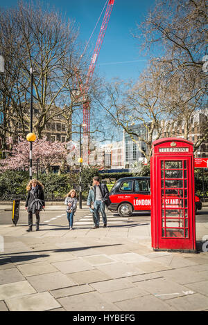 Cherry Blossom in Hanover Square, Londres, Mayfair, England, UK Banque D'Images