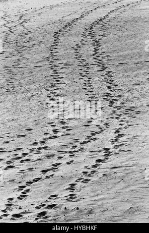 Des traces de pas dans le sable de la plage de Matosinhos, Porto, Portugal. Banque D'Images