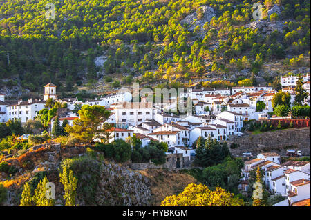 Village de Montagne de Grazalema et de la forêt de pins, les villages blancs d'Andalousie, Parc Naturel Sierra de Grazalema, province de Cadix, Espagne Banque D'Images