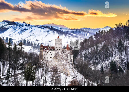 Le château de Bran, Roumanie. superbe image twilight hdr de forteresse de Dracula en Transylvanie, monument médiéval. Banque D'Images