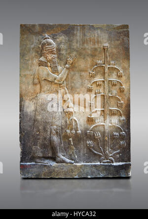 Panneau sculpté relief en pierre d'un génie avec graines de pavot Graines de chefs objet suivant l'arbre de vie. Inv 19869 AO de Dur Sharrukin le palais du roi assyrien Banque D'Images