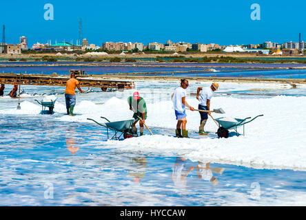 Trapani, le 13 août 2016 - Italie : les travailleurs à la pelle le sel cristallise hors de la terre ferme en sel , rempli de sel Naturel de la mer. Banque D'Images