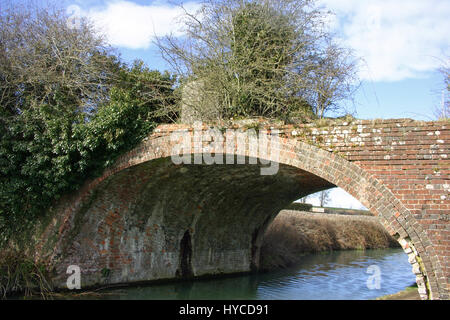 Construit en brique pont sur le Kennet and Avon Canal dans le Wiltshire avec une seconde guerre mondiale et antichar sur cylindre caché sur le côté gauche du pont. Banque D'Images