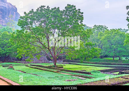 Les Jardins Royaux de Sigiriya sont le meilleur endroit pour profiter de la nature, les objets archéologiques et historiques, Sri Lanka. Banque D'Images