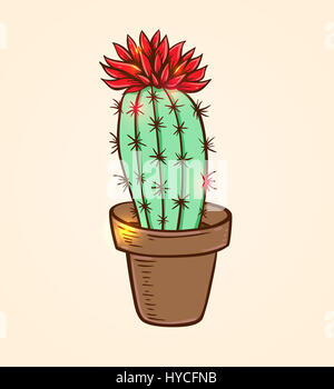 Rouge en fleurs cactus dans un pot. Hand drawn vector illustration. Banque D'Images