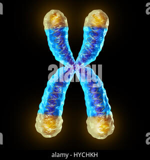 La longueur des télomères télomères et concept médical situé sur les bouchons d'extrémité d'un chromosome résultant du vieillissement en endommageant l'ADN. Banque D'Images