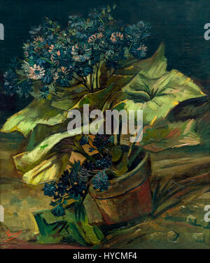 Cineraria, cineraria, cineraria dans un pot de fleurs, Flowerpot avec cineraria, par Vincent van Gogh, 1886, Musée Boijmans van Beuningen, Rotterdam, Nethe Banque D'Images