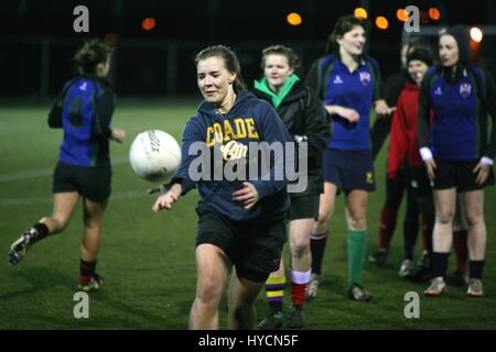 QUB InterSports nuit. Photo/Paul McErlane. Banque D'Images