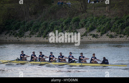 Le 02 avril 2017. La mens 2017 Réserver Boat Race, ISIS Goldie Course. Credit : Malcolm Park/Alamy. Banque D'Images