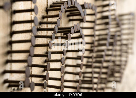 Nombreux clous clouées dans mur en bois collé hors clous.. le travail d'équipe Banque D'Images