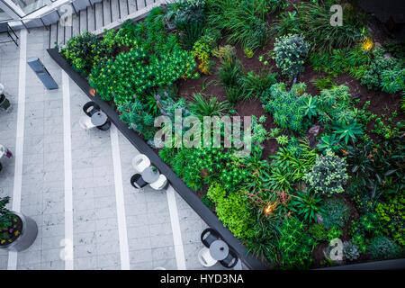 Le patio et le café région du ciel jardins du bâtiment de talkie-walkie, 20 Fenchurch Street, City of London, en Angleterre. Banque D'Images