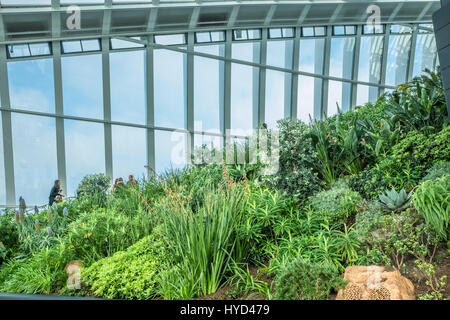 Escalier le long du côté de la Sky Gardens au bâtiment de talkie-walkie, 20 Fenchurch Street, City of London, en Angleterre. Banque D'Images