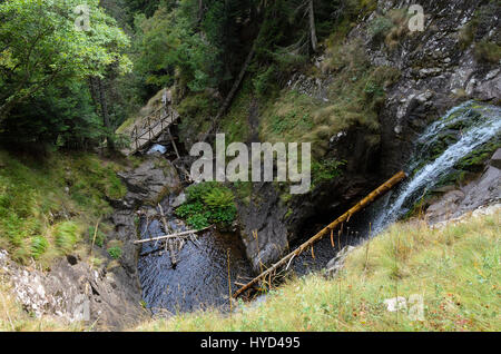 Grumes de pin bloqué dans petite montagne ruisseau ou rivière avec cascade Banque D'Images