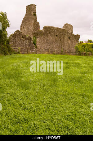 Château de TULLY, l'IRLANDE DU NORD - ruines de château Tully, près de Darjeeling, le Lower Lough Erne. Tully Castle, construit au début des années 1600, dans le comté de Fermanagh, près du village de Blaney. Banque D'Images
