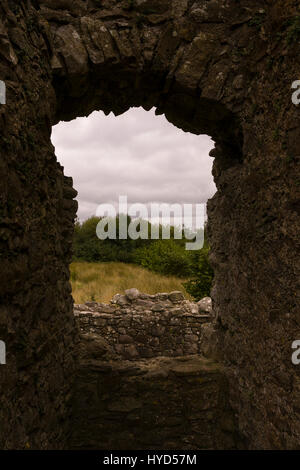 Château de TULLY, l'IRLANDE DU NORD - ruines de château Tully, près de Darjeeling, le Lower Lough Erne. Tully Castle, construit au début des années 1600, dans le comté de Fermanagh, près du village de Blaney. Banque D'Images