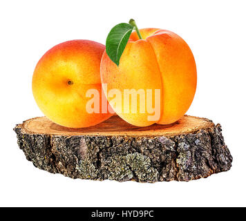 Un сross sur abricot en bois section de tronc de l'arbre isolé sur fond blanc Banque D'Images